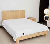 Bexxly Grounding Sheetie