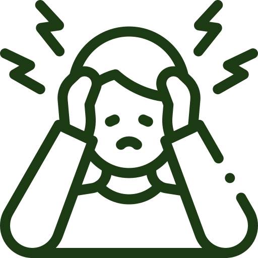 icon2