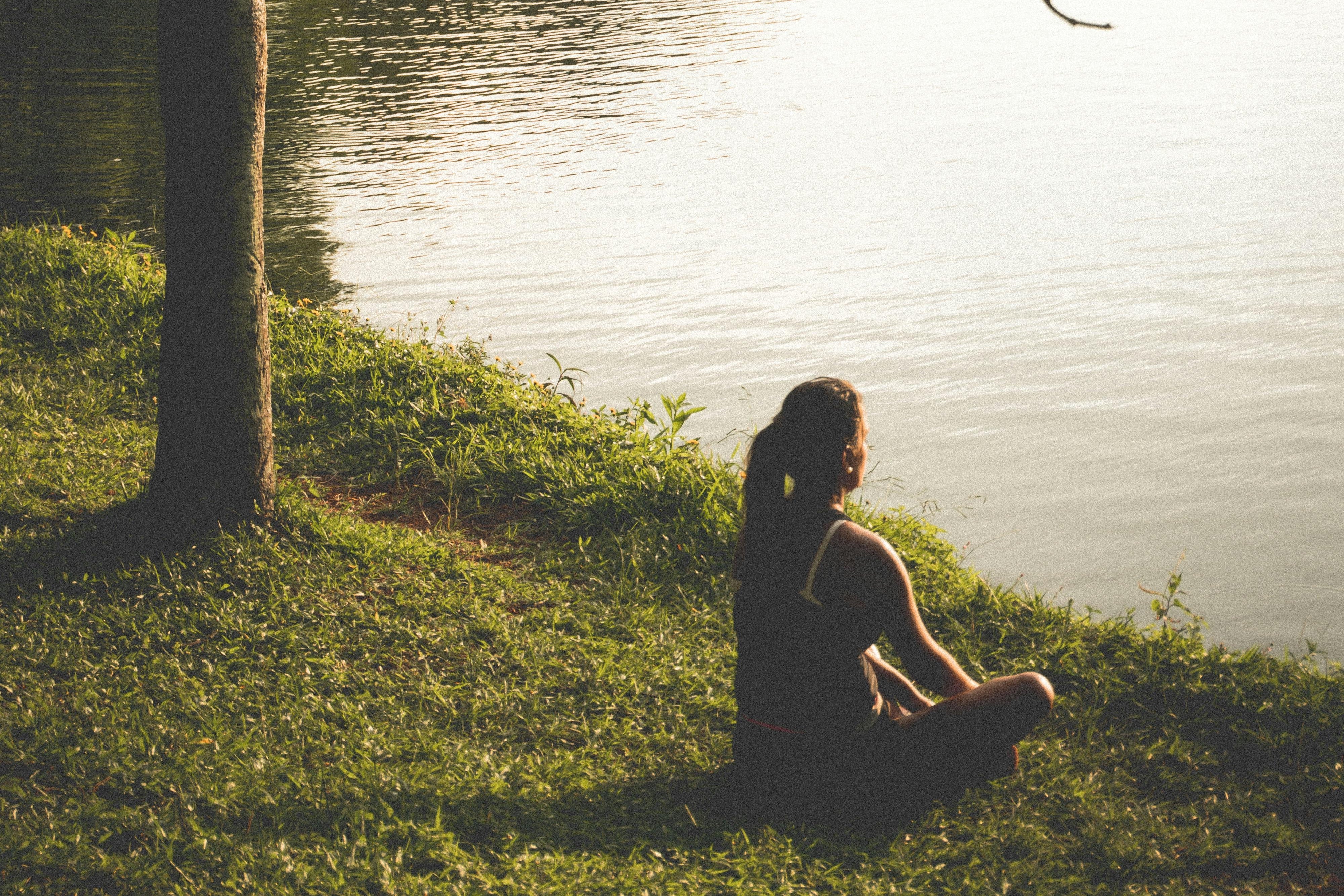 Bexxly HARMONIA - A Custom Healing Frequency Generator 25 pexels hikaique 290627